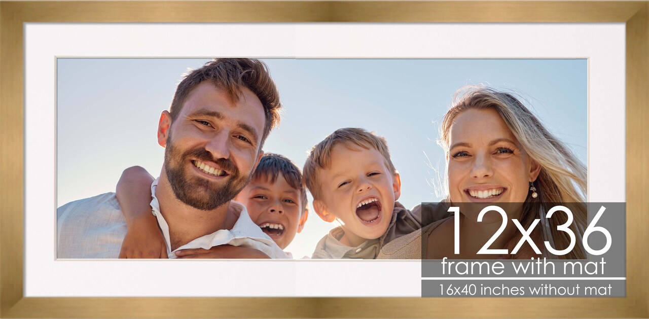 12x36 Frame with Mat - Bronze 16x40 Frame Wood Made to Display Print or Poster Measuring 12 x 36 Inches with White Photo Mat